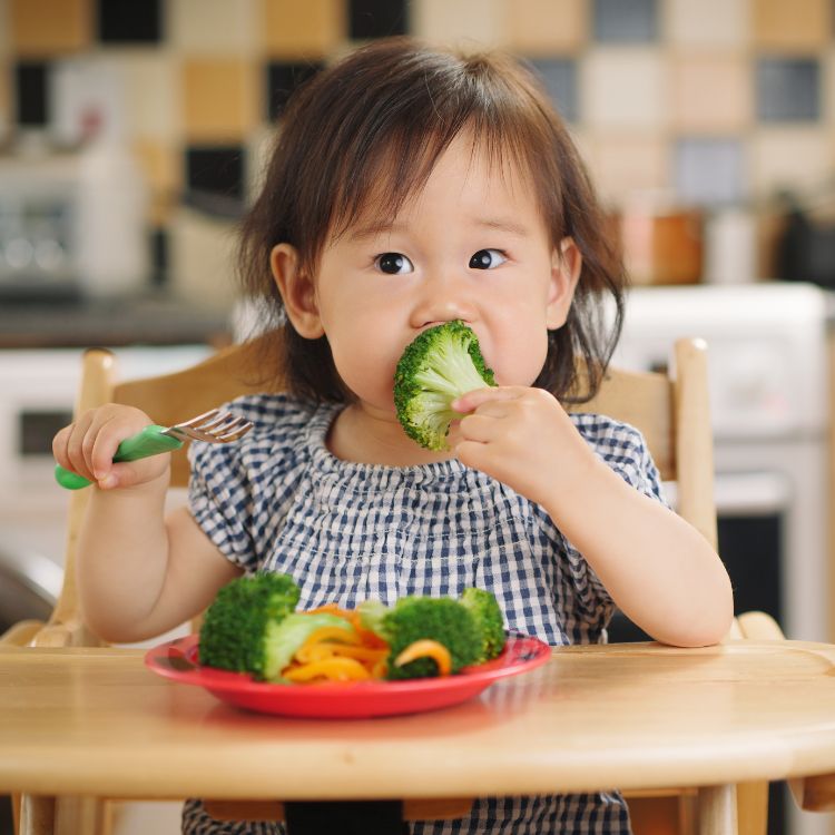 Toddler nutrition